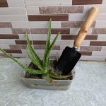 3 In 1 Home Gardening Tool Set - Image 3