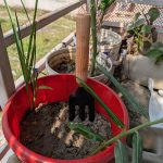 3 In 1 Home Gardening Tool Set - Image 4