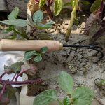 3 In 1 Home Gardening Tool Set - Image 5