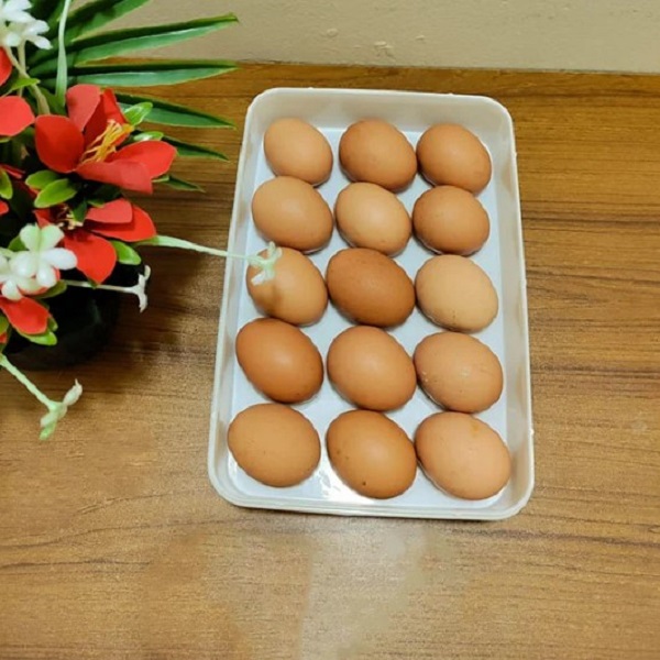 15 Grid Mini Egg Box