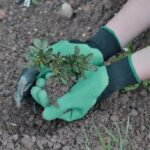 Gardening Digging Gloves With Claws - Image 6