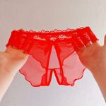 Floral Mesh Comfort Hot Panty (Set of 4pcs) - Image 3