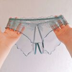 Floral Mesh Comfort Hot Panty (Set of 4pcs) - Image 5