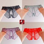 Floral Mesh Comfort Hot Panty (Set of 4pcs)